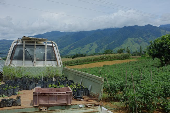 A truck parked on top of a dirt road next to a lush green field