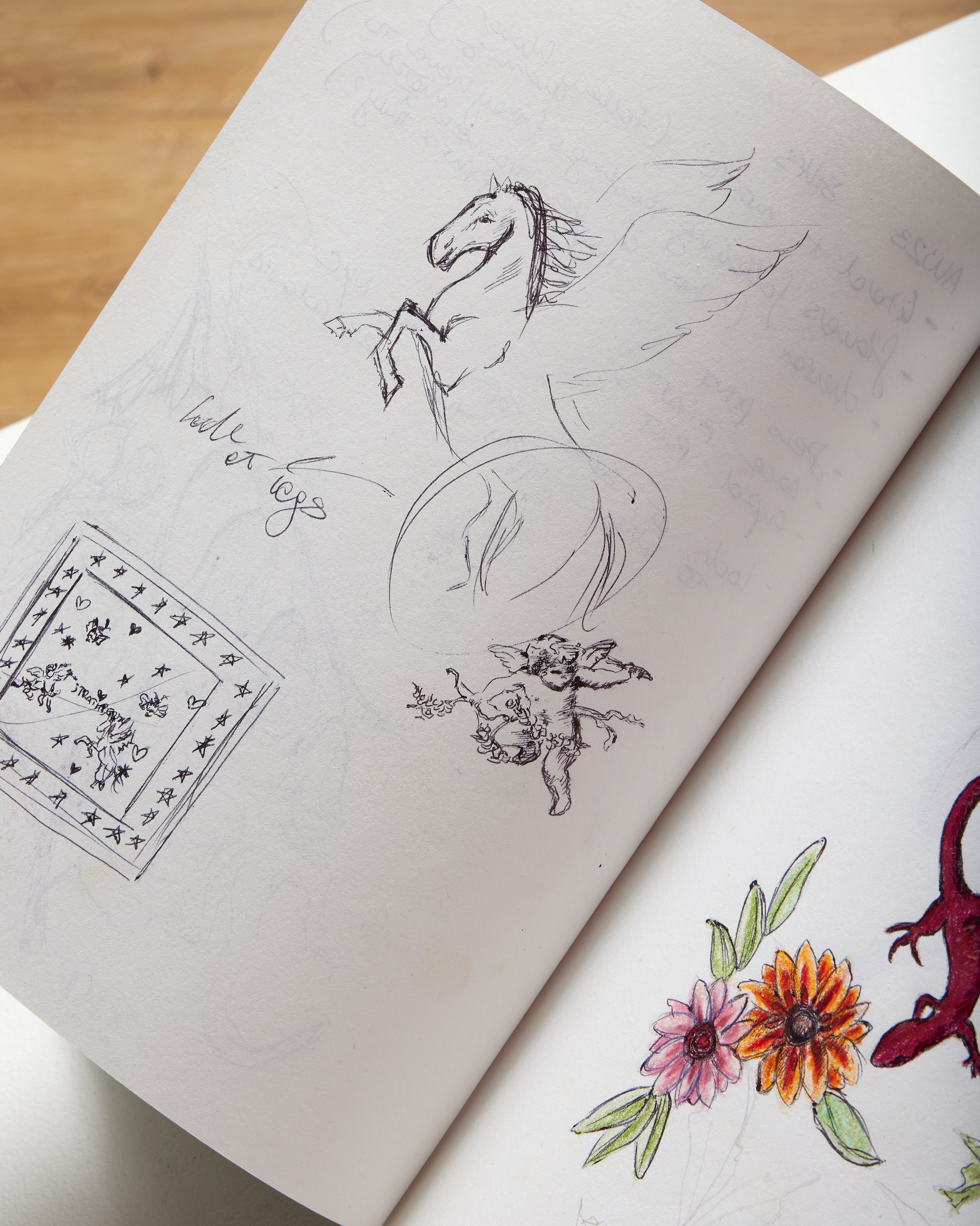 The Celestial Collection – Strathberry's Love Letter to New