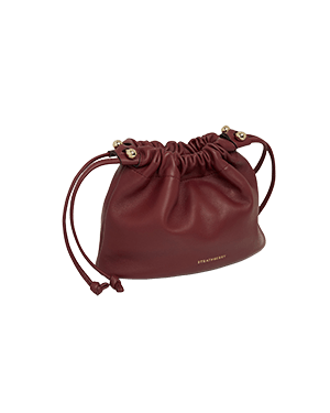 A red leather bag on a white background