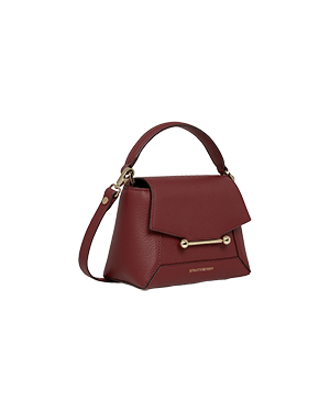 A red handbag on a green background