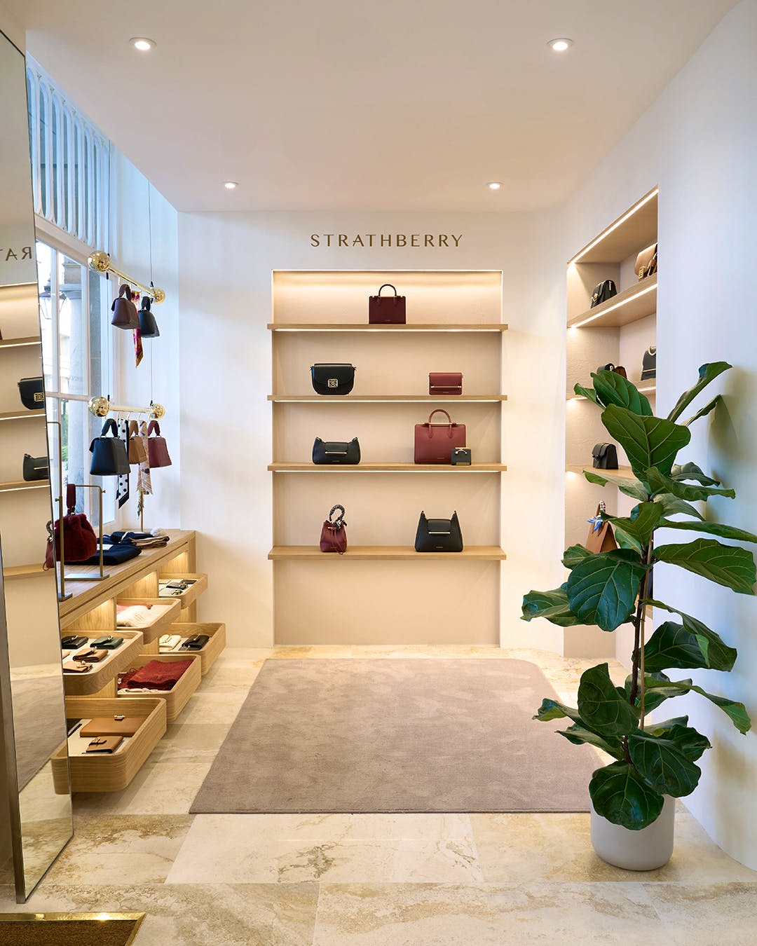 A store with a plant in the middle of the room