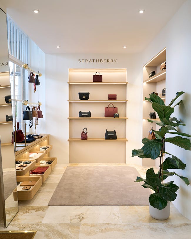 A store with a plant in the middle of the room