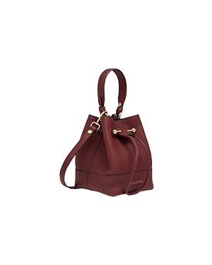 A red handbag on a green background