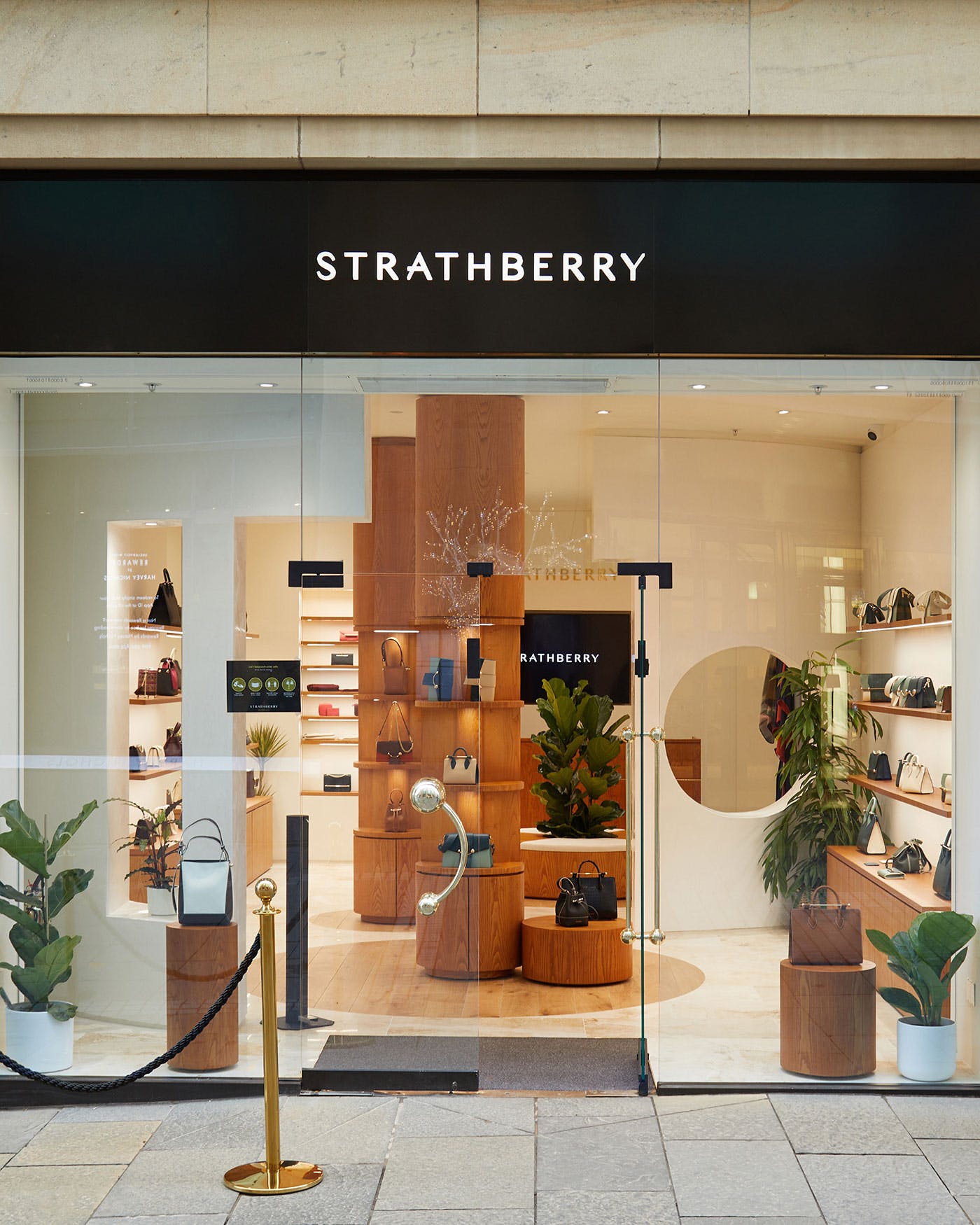 A store front with a display of shoes and plants